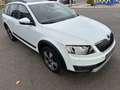 Skoda Octavia Combi Scout 4x4,SCHEKHEFT,NAVI,AHK Weiß - thumbnail 2
