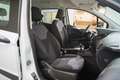 Ford Tourneo Courier 1.5TDCi Ambiente 75 Weiß - thumbnail 15