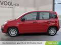 Fiat Panda Panda Rood - thumbnail 2