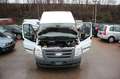 Ford Transit Kasten FT 300 M LKW *1.Hand* Weiß - thumbnail 23