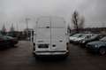 Ford Transit Kasten FT 300 M LKW *1.Hand* Weiß - thumbnail 16