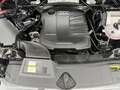 Audi Q5 35 TDI Advanced S tronic Gris - thumbnail 36