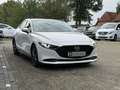 Mazda 3 Fastback Selection+LED+ACC+360°KAMERA+LEDER+ Blanc - thumbnail 5