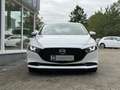 Mazda 3 Fastback Selection+LED+ACC+360°KAMERA+LEDER+ Blanc - thumbnail 4