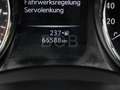 Nissan Qashqai 1.2 DIG-T Acenta  AHK ALU SHZ KLIMA PDC Czerwony - thumbnail 16