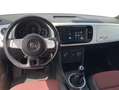 Volkswagen Beetle Cabrio 1.2 TSI Design 105 Blanco - thumbnail 10