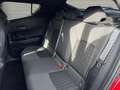 Toyota C-HR 2.0 Hybrid Team D, Licht-Paket, AHK - thumbnail 12