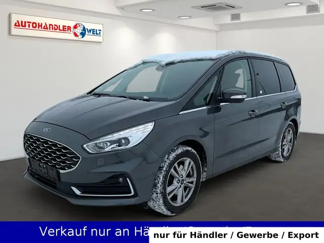 Ford Galaxy 2.0 EcoBlue Automatik Titanium