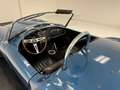 Shelby Sonstige Roadster Blau - thumbnail 19