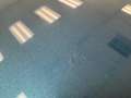 Shelby Sonstige Roadster Blau - thumbnail 37