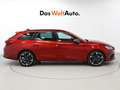 CUPRA SP 1.5 eTSI 110kW (150CV) DSG Rojo - thumbnail 3