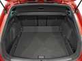 CUPRA SP 1.5 eTSI 110kW (150CV) DSG Rojo - thumbnail 7