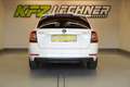 Skoda Octavia Combi 1.6 TDI DSG "LED*NAVI*SITZH*ACC*VIRTUAL" Weiß - thumbnail 4