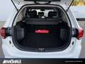 Mitsubishi Outlander Outlander 2.4PHEV Plug-in Hybrid BasisSpirit 4WD Weiß - thumbnail 14