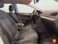 Volkswagen Golf 1.0 TSI Advance 81kW Blanco - thumbnail 19