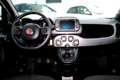 Fiat Panda SPORT 1.0 Hybrid 70cv  5° Posto CarPlay Bianco - thumbnail 10
