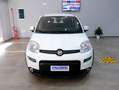 Fiat Panda SPORT 1.0 Hybrid 70cv  5° Posto CarPlay Bianco - thumbnail 3