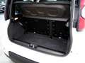 Fiat Panda SPORT 1.0 Hybrid 70cv  5° Posto CarPlay Bianco - thumbnail 14