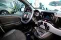 Fiat Panda SPORT 1.0 Hybrid 70cv  5° Posto CarPlay Bianco - thumbnail 4