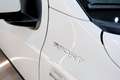 Fiat Panda SPORT 1.0 Hybrid 70cv  5° Posto CarPlay Bianco - thumbnail 9