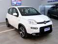 Fiat Panda SPORT 1.0 Hybrid 70cv  5° Posto CarPlay Bianco - thumbnail 7