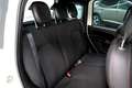 Fiat Panda SPORT 1.0 Hybrid 70cv  5° Posto CarPlay Bianco - thumbnail 8