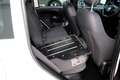 Fiat Panda SPORT 1.0 Hybrid 70cv  5° Posto CarPlay Bianco - thumbnail 12