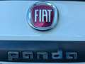 Fiat Panda Panda III 2016 0.9 t.air t. natur power Easy 80cv Bianco - thumbnail 14