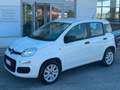 Fiat Panda Panda III 2016 0.9 t.air t. natur power Easy 80cv Bianco - thumbnail 1