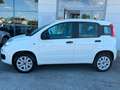 Fiat Panda Panda III 2016 0.9 t.air t. natur power Easy 80cv Bianco - thumbnail 2