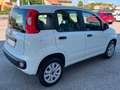 Fiat Panda Panda III 2016 0.9 t.air t. natur power Easy 80cv Bianco - thumbnail 5