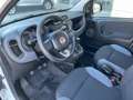 Fiat Panda Panda III 2016 0.9 t.air t. natur power Easy 80cv Bianco - thumbnail 10