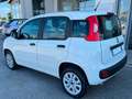 Fiat Panda Panda III 2016 0.9 t.air t. natur power Easy 80cv Bianco - thumbnail 3