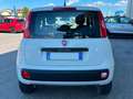 Fiat Panda Panda III 2016 0.9 t.air t. natur power Easy 80cv Bianco - thumbnail 4