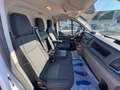 Ford Transit Custom 280 2.0 EcoBlue Hybrid 130cv PC FURGONE TREND Bianco - thumbnail 14