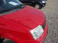 Fiat Panda 1,1 Rot - thumbnail 8