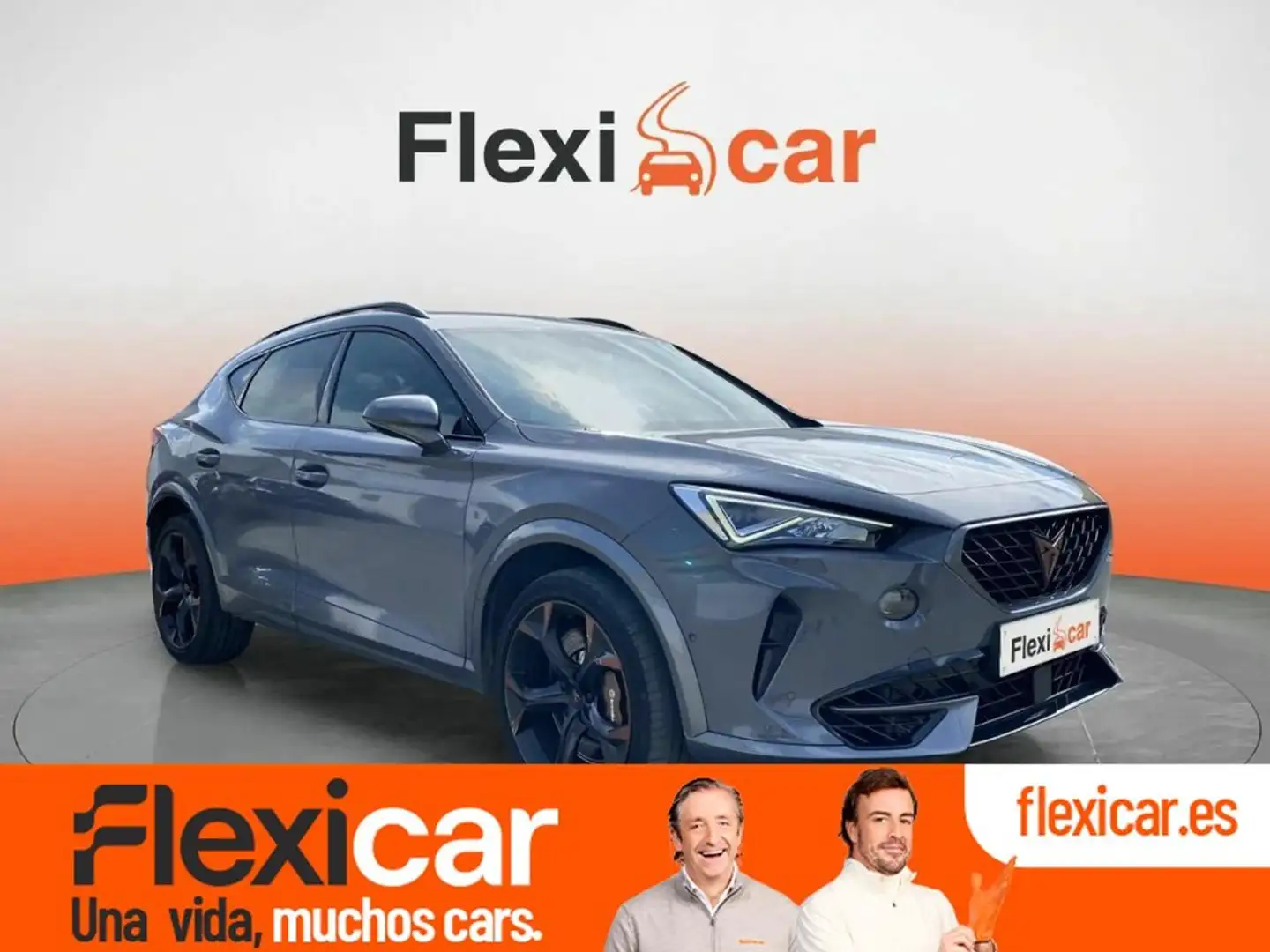 CUPRA Formentor 2.0 TSI 228kW (310 CV) VZ 4Drive DSG Gris - 1