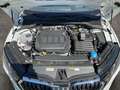 Skoda Octavia Combi 2.0 TDI Selection AHK Panodach Soundsystem Weiß - thumbnail 20