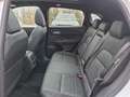 Nissan Qashqai 1,5T e-Power N-Design+*ab €38.990,-* Weiß - thumbnail 12