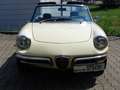 Alfa Romeo Spider 1750 Rundheck, Motor 8Tkm, einmaliger Sammlerzust Beige - thumbnail 8