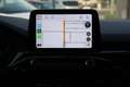 Ford Kuga 2.0 ecoblue ST-Line 2wd 120cv AUTO con CarPlay Blauw - thumbnail 12