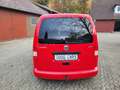 Volkswagen Caddy Life Gewinner Caddy Rouge - thumbnail 4