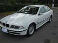 BMW 528 Serie 5 E39 Berlina 528i Eletta Bílá - thumbnail 2