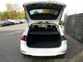 Ford Focus Turnier 1.0 EcoBoost Mild-Hybrid EU6d Titanium Nav Weiß - thumbnail 9