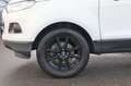 Ford EcoSport Ford ECOSPORT / Trend / SITZHEIZ / KLIMA / ALU  BC Gelb - thumbnail 3
