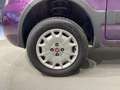 Fiat Panda 1.2 Climbing 4x4 Violett - thumbnail 9