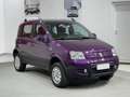 Fiat Panda 1.2 Climbing 4x4 Violett - thumbnail 7