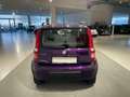Fiat Panda 1.2 Climbing 4x4 Violett - thumbnail 4
