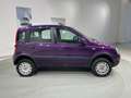 Fiat Panda 1.2 Climbing 4x4 Violett - thumbnail 6