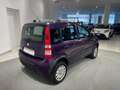 Fiat Panda 1.2 Climbing 4x4 Violett - thumbnail 5